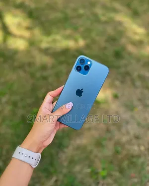 Apple iPhone 12 Pro Max 256 GB Blue