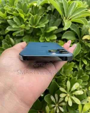 Apple iPhone 12 Pro Max 256 GB Blue