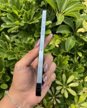 Apple iPhone 12 Pro Max 256 GB Blue
