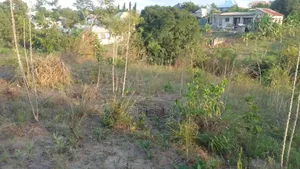 Kiwanja Pembeni Ya Lami