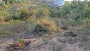 Kiwanja Pembeni Ya Lami