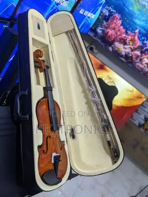 Violin Acoustics