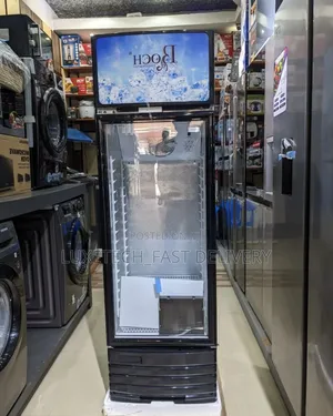 Roch Showcase Refrigerator 210l for Ice Cream, Food and Drinks Cooler