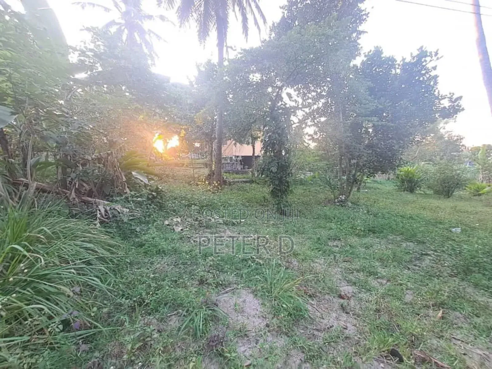 Kiwanja SQM 1200