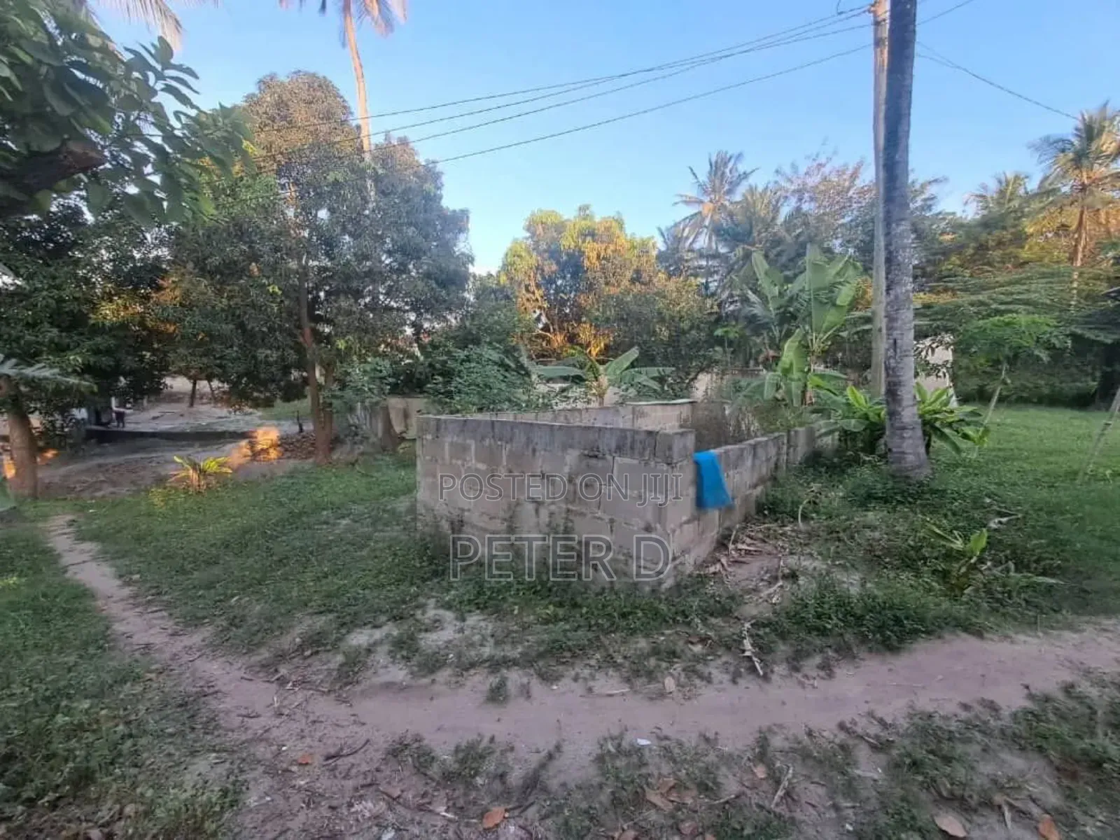 Kiwanja SQM 1200
