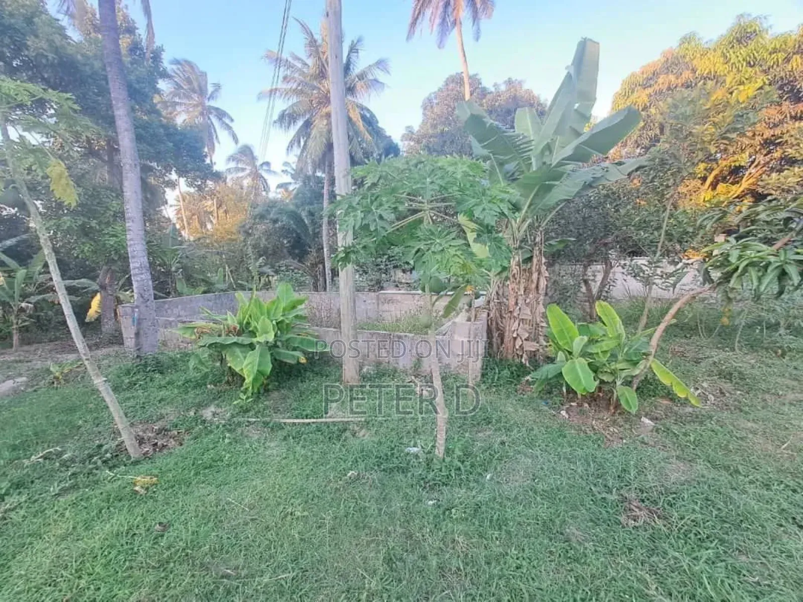 Kiwanja SQM 1200