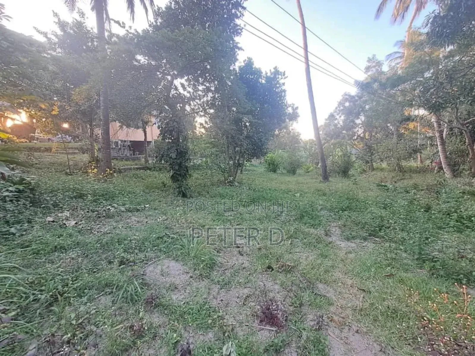 Kiwanja SQM 1200