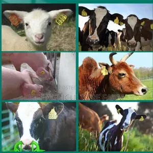 2024 Ear Tag Super