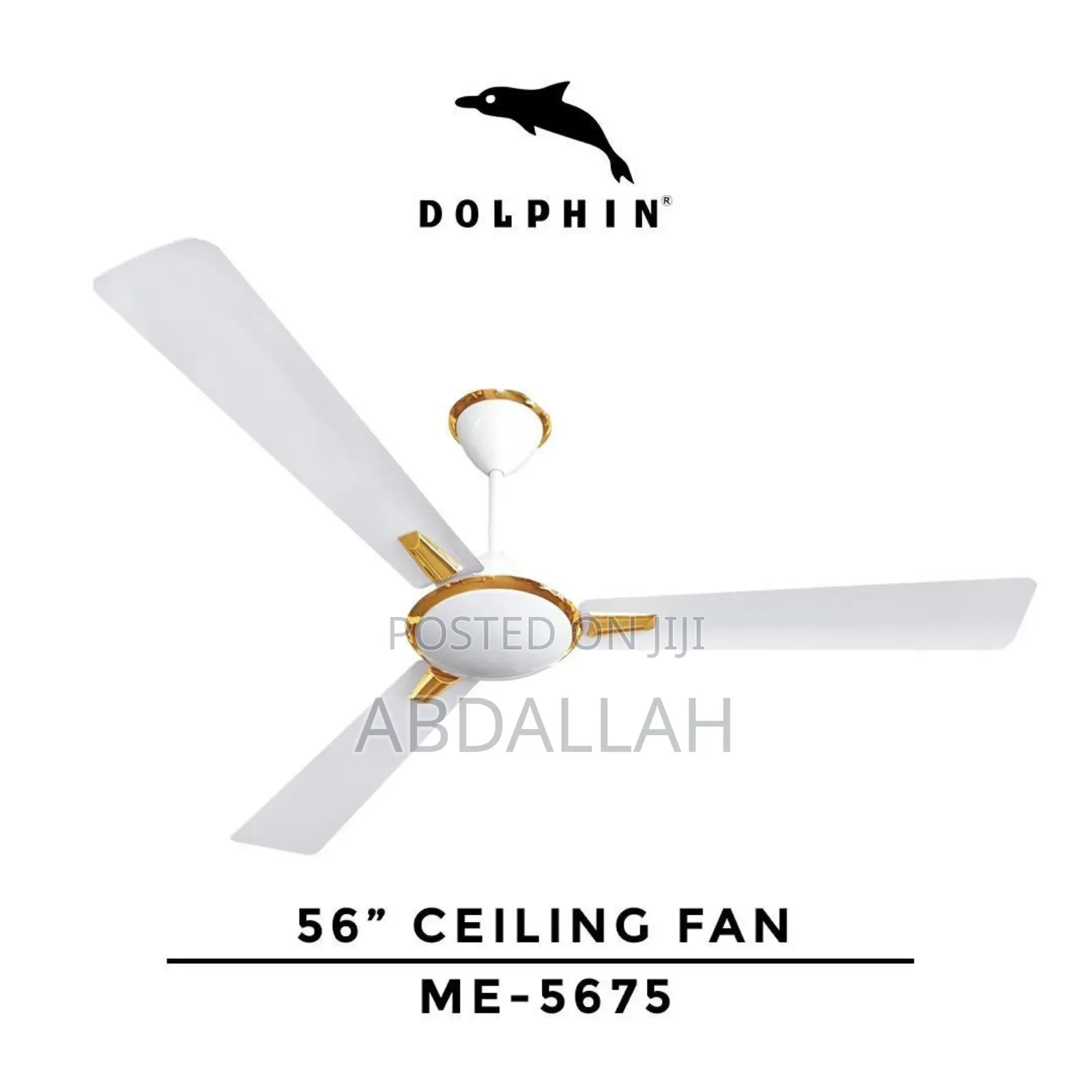 Pangaboi Dolphin 46