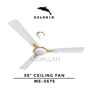 Pangaboi Dolphin 46