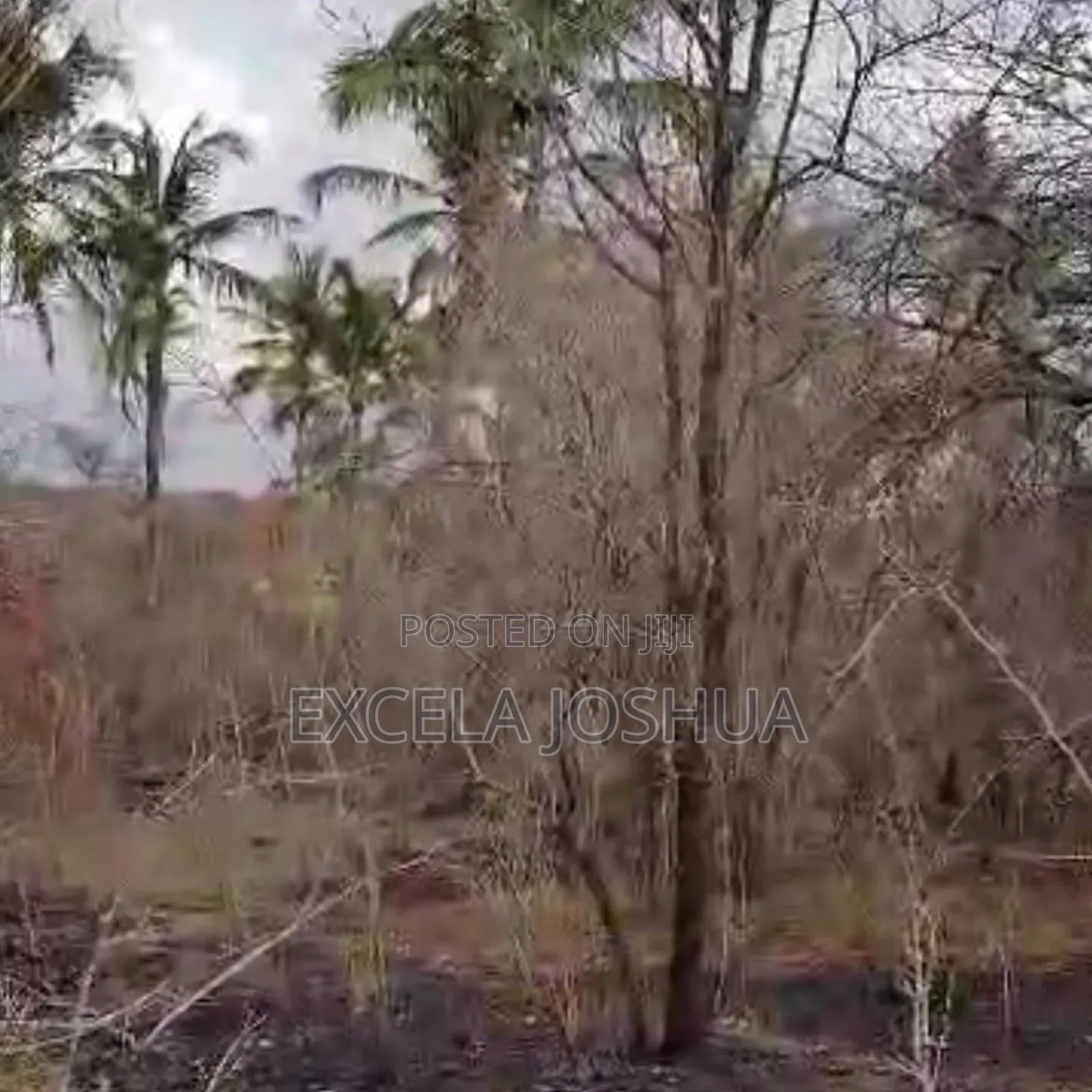 A 60 Acres Farm Located at Mbwewe Is Available for Sale