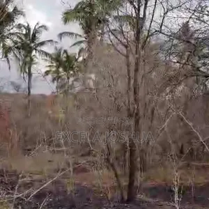 A 60 Acres Farm Located at Mbwewe Is Available for Sale