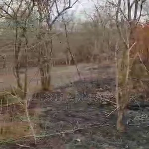 A 60 Acres Farm Located at Mbwewe Is Available for Sale