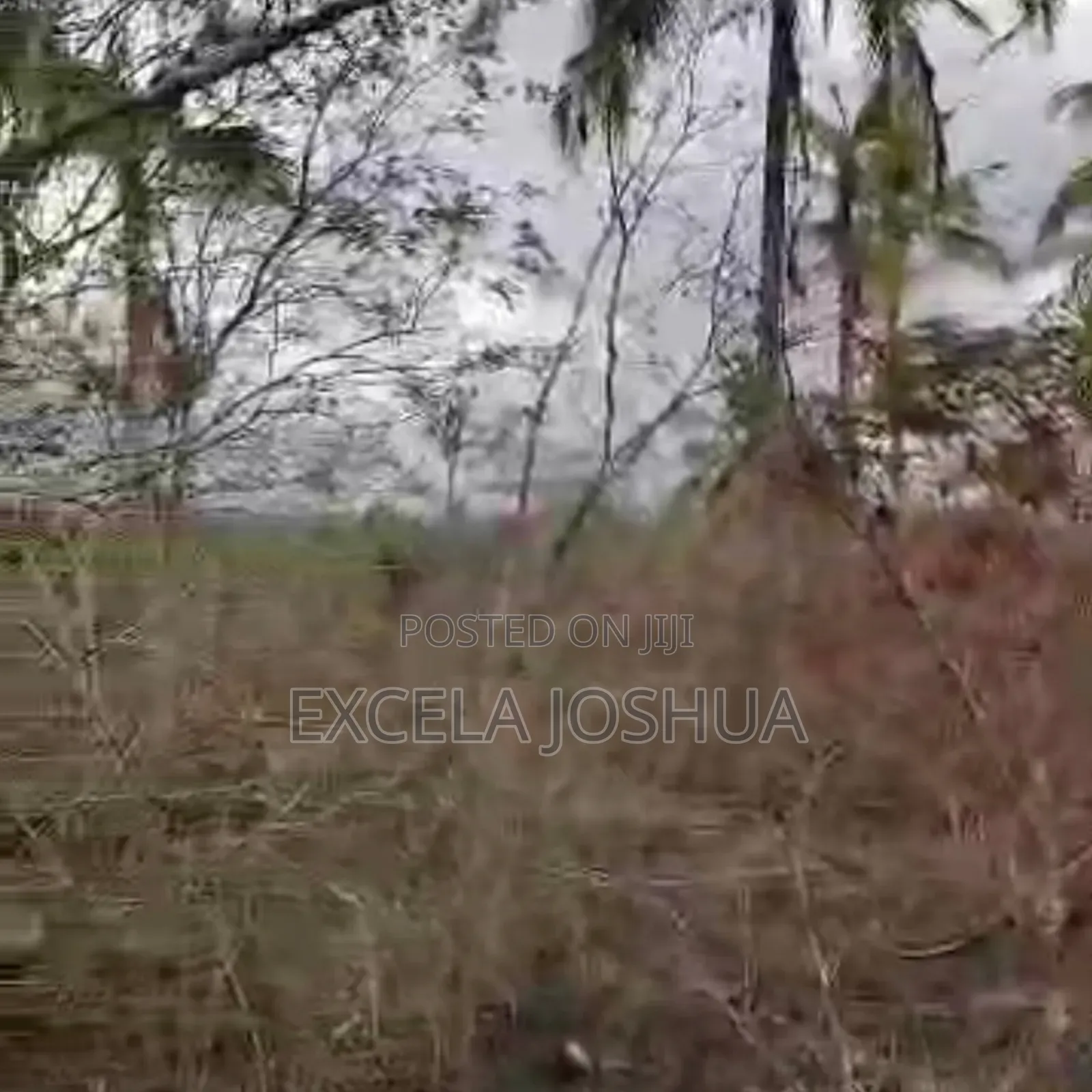 A 60 Acres Farm Located at Mbwewe Is Available for Sale