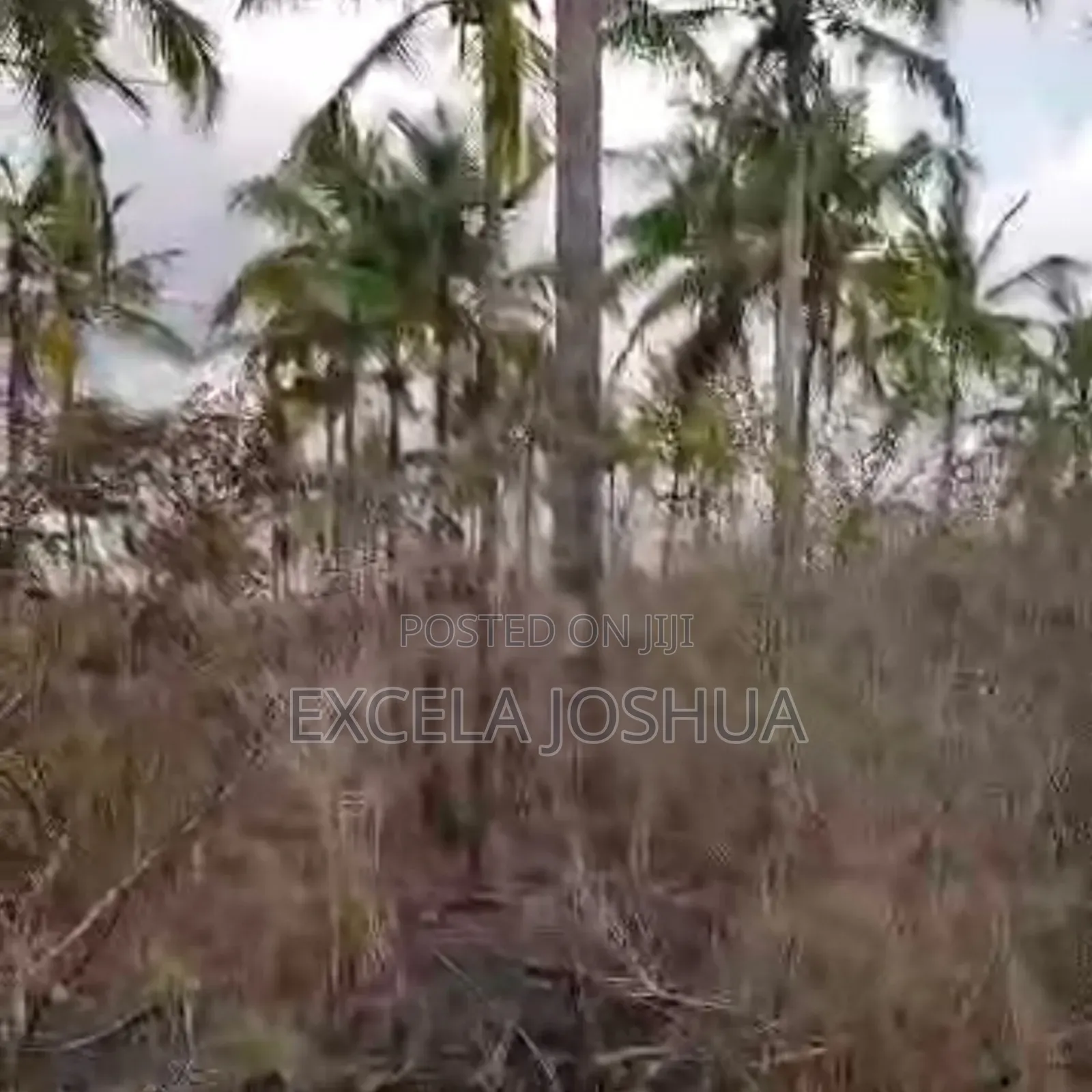 A 60 Acres Farm Located at Mbwewe Is Available for Sale