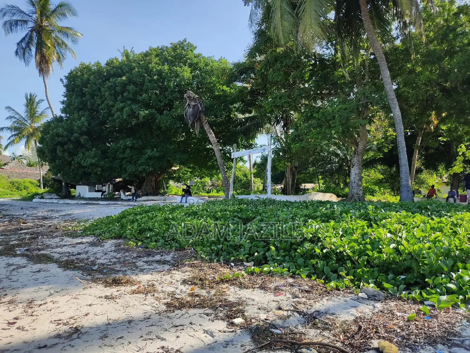 Beach Plots for Sale BAGAMOYO