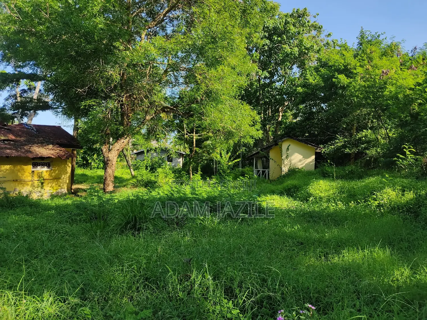 Beach Plots for Sale BAGAMOYO