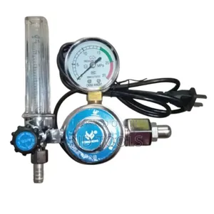 Carbon Dioxide Gas Regulator 220V