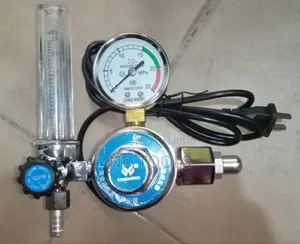 Carbon Dioxide Gas Regulator 220V