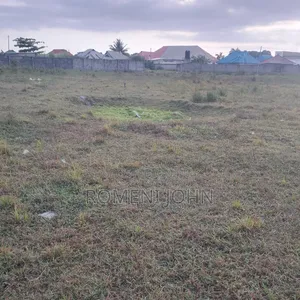 Kiwanja Sqmita 300 Kinauzwa Milioni 5.5 Majohe Viwege.