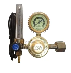 Carbon Dioxide Gas Regulator 36v