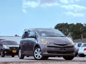 Toyota Ractis 2009 Gray