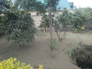 4bdrm Bungalow in Arusha for sale