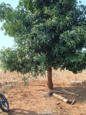 Shamba Linauzwa