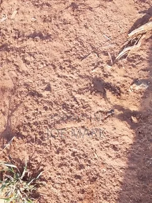Shamba Linauzwa