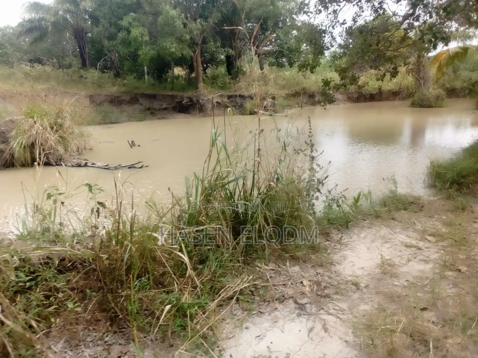 Shamba 2.6 Acre Linakodishwa Farm for Rent