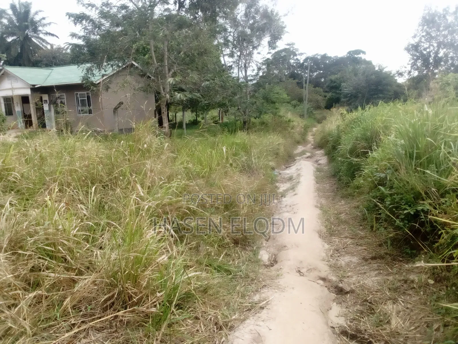 Shamba 2.6 Acre Linakodishwa Farm for Rent