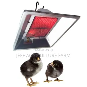 Gas Heater Lamp