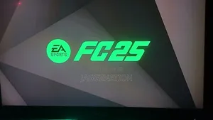 Ps4 Chipped Version EA25 for Sale