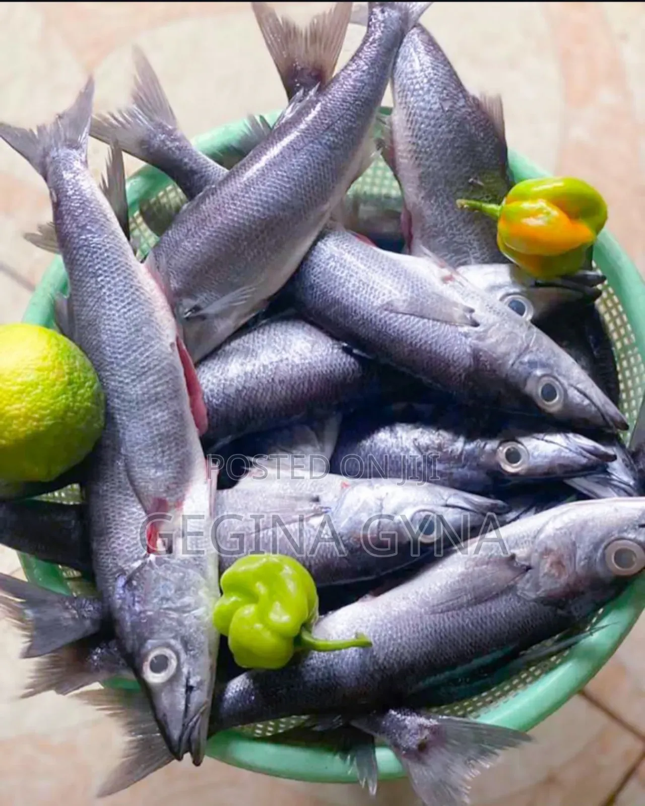 Migebuka Fresh Kutoka Kigoma Kwa Oda Tu