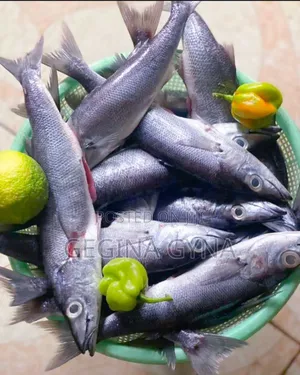 Migebuka Fresh Kutoka Kigoma Kwa Oda Tu