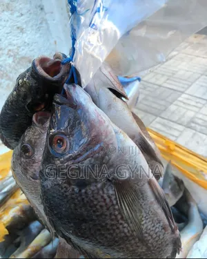 Ngege Fresh Kutoka Kigoma