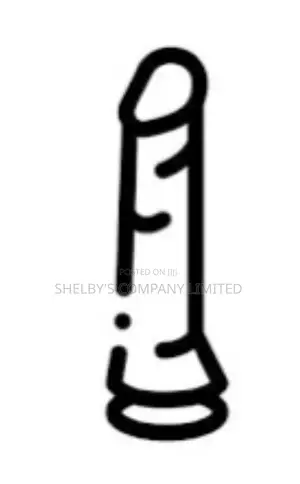 Dildos All Sizes