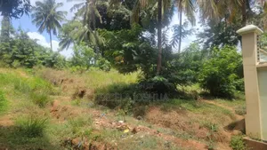 Kiwanja Kinauzwa Bonyokwa Segerea