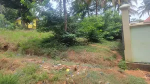 Kiwanja Kinauzwa Bonyokwa Segerea