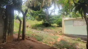 Kiwanja Kinauzwa Bonyokwa Segerea
