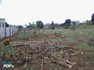 Viwanja Vizuri Sana Vya Tambalale Vinauzwa Kifuru