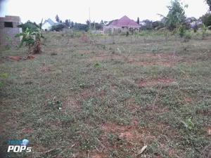 Viwanja Vizuri Sana Vya Tambalale Vinauzwa Kifuru