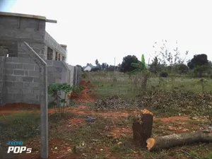 Viwanja Vizuri Sana Vya Tambalale Vinauzwa Kifuru