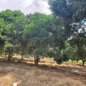 Kiwanja Kizuri Sana Cha Tambalale Kinauzwa Madale Mbopo