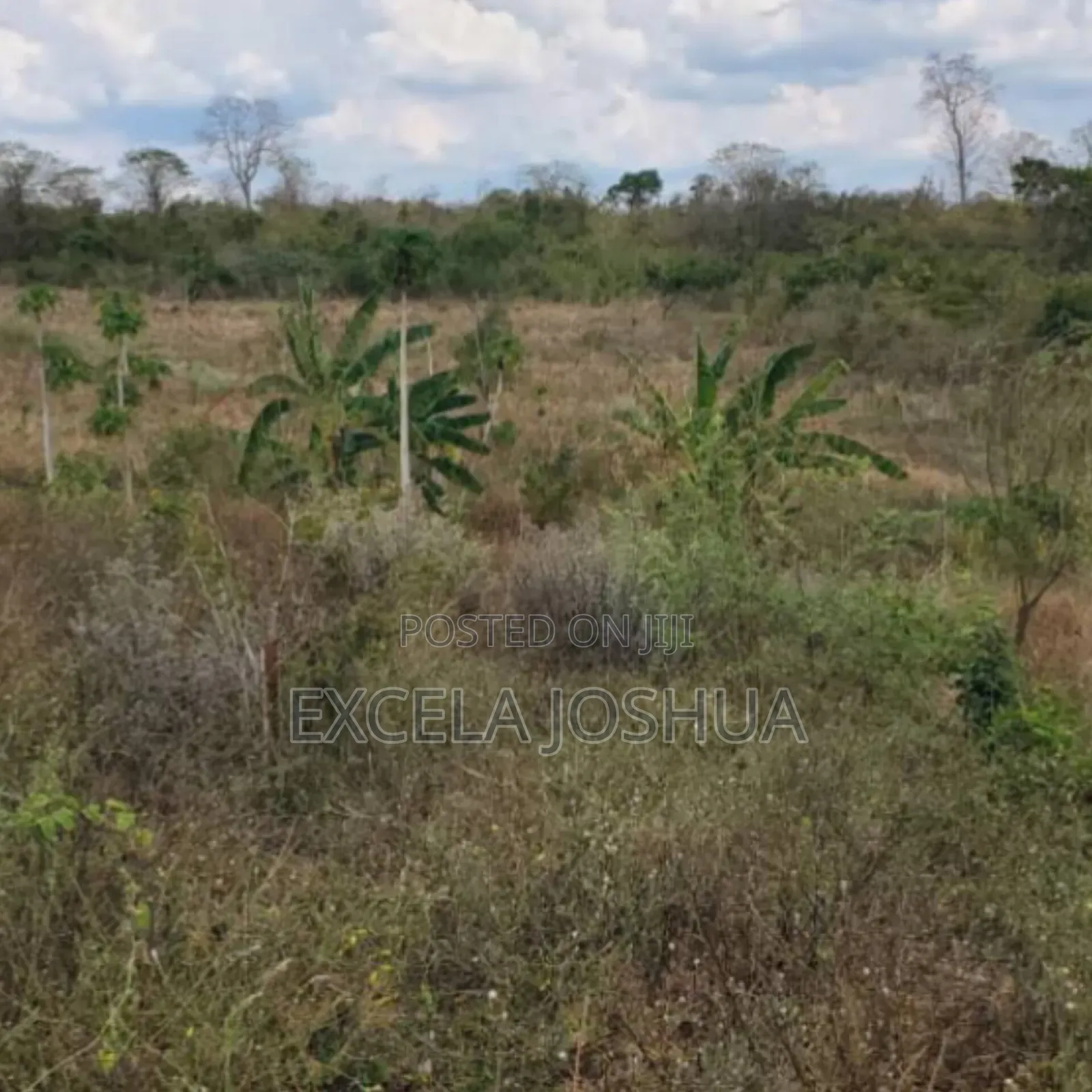 Shamba Eka 50 Linauzwa Mbwewe Halimashauri Ya Bagamoyo