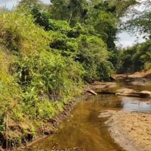 Shamba Eka 50 Linauzwa Mbwewe Halimashauri Ya Bagamoyo