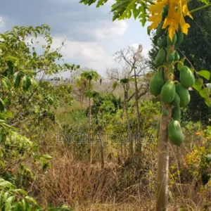 Shamba Eka 50 Linauzwa Mbwewe Halimashauri Ya Bagamoyo