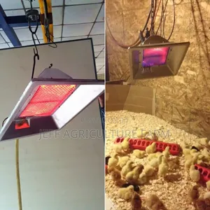 Gas Heater for Chicken