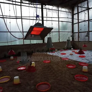 Gas Heater for Chicken