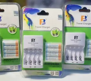 Double AA Rechargable Batteries With Charger